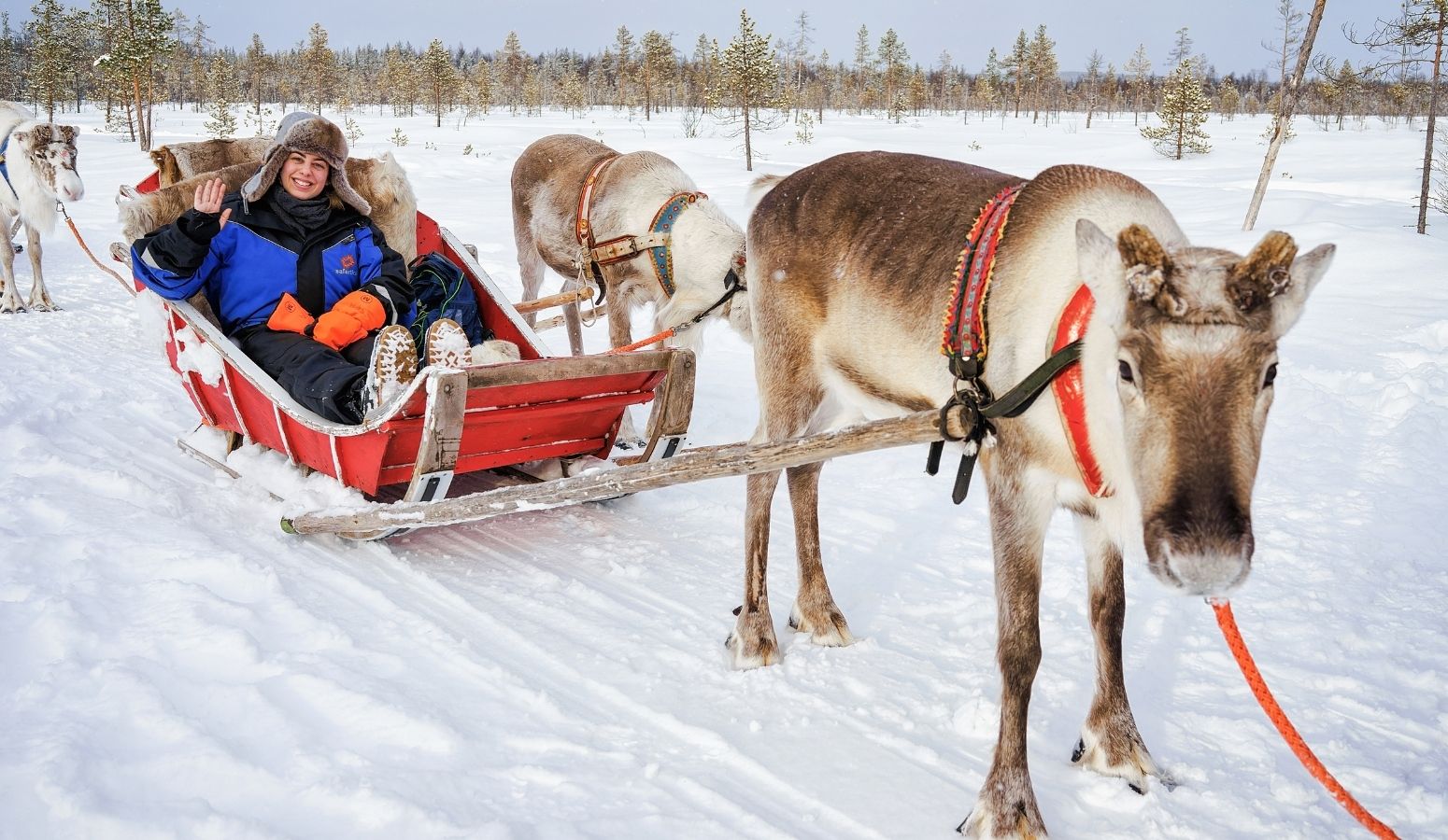 fin-de-ano-en-laponia-Rovaniemi-Scandic-Pohjanhovi